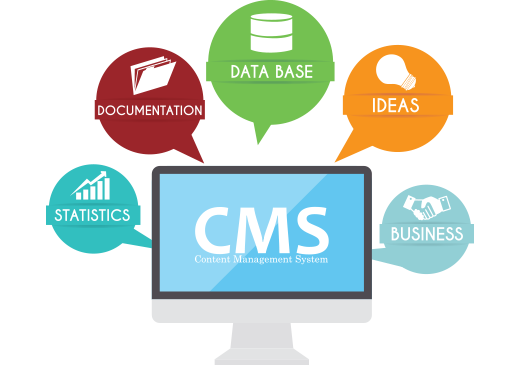 CMS Development